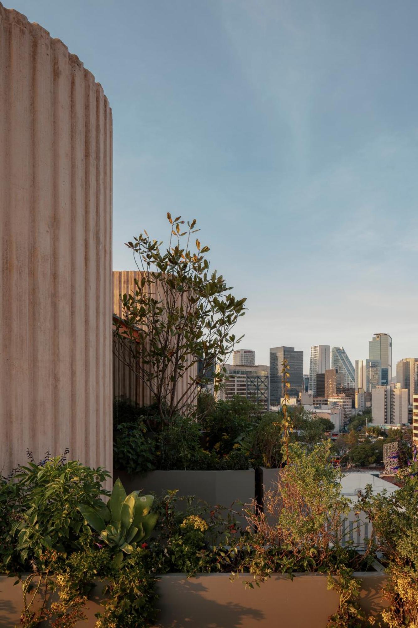 Onto Tonala Mexico City Exterior photo